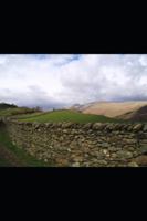 BRACKENDALE B0G5GFQPWK Book Cover