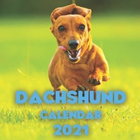 Dachshund Calendar 2021: Cute Calendar Gag Gift for Dogs Lovers B08QSLSVRH Book Cover
