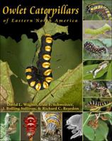 Owlet Caterpillars of Eastern North America 0691150427 Book Cover