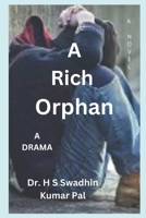 A Rich Orphan B0F6C5ZTD1 Book Cover