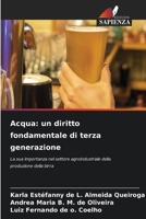 Acqua: un diritto fondamentale di terza generazione 6207399560 Book Cover