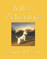 Brillo's Adventure B0BTRXF32Y Book Cover