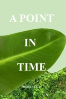 A POINT IN TIME B0C2RX8P7N Book Cover