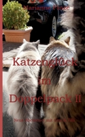 Katzenglück im Doppelpack II: Neue Abenteuer mit Gini & Tilli (German Edition) 3696386545 Book Cover