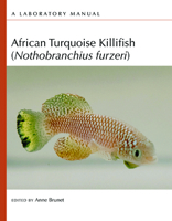 African Turquoise Killifish (Nothobranchius Furzeri): A Laboratory Manual 1621824608 Book Cover