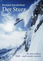 Der Sturz: ... in eine andere Welt - und wieder zurück 3752856076 Book Cover