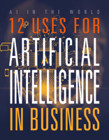 12 Uses for Artificial Intelligence in Business (AI in the World) 1645825329 Book Cover