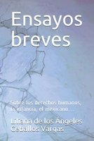 Ensayos breves: Sobre los derechos humanos, la infancia, el mexicano... B08NWJPLKX Book Cover