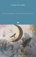In Castlewood/An Ghaoth Aduaidh 1851320245 Book Cover