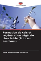 Formation de cals et régénération végétale chez le blé (Triticum aestivum) 6206377598 Book Cover