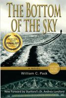 The Bottom of the Sky 1606390031 Book Cover