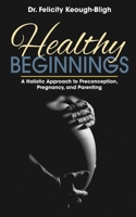 Healthy Beginnings: A Holistic Approach to Preconception, Pregnancy, and Parenting 1734184043 Book Cover