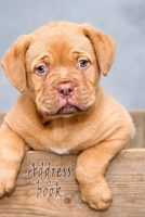 Address Book: Lovely Design with this cute dog, Best way to Track Addresses, Email, Mobile, Work & Home Phone Numbers, and easily Tabbed in Alphabetical Order ( Special Dog Design Notebook Journal) 1712756095 Book Cover