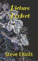 Picture Perfect B09DN1637B Book Cover