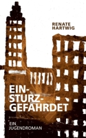 Einsturzgefährdet: Gymnasium und Hauptschule sind im Streit. (German Edition) 3384664795 Book Cover