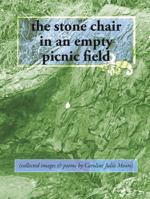 the stone chair in an empty picnic field: 061568713X Book Cover