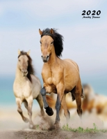 2020 Monthly Planner: Large Monthly Planner with Inspirational Quotes (Wild Horses) 1087809436 Book Cover