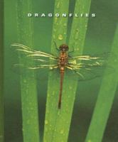 Dragonflies (The World of Insects) 159296821X Book Cover