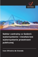 Sektor centralny w Goiânii: wykorzystanie i niewlasciwe wykorzystanie przestrzeni publicznej 6209201970 Book Cover