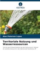 Territoriale Nutzung und Wasserressourcen: Territoriale Schwachstellen bei der Nutzung von Wasser für die Blumenzucht in der Gemeinde Holambra-SP (German Edition) 6208670381 Book Cover