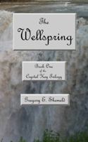 The Wellspring: Book One of the Crystal Key Trilogy 0998542504 Book Cover