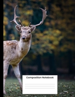 Composition Notebook: Cute Deer College Ruled Journal Notebook Writing Gift For Men Women Teens Kids 1692572792 Book Cover