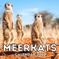 Meerkats Calendar 2021: 16-Month Calendar, Cute Gift Idea For Meerkat Lovers Women & Men B095GLNN64 Book Cover
