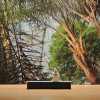 Auf Der Suche Nach Verlorenen Paradiesen 3869050179 Book Cover