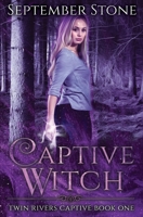 Captive Witch: A Reverse Harem Urban Fantasy Adventure 1687337799 Book Cover