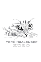 Terminkalender 2020: Katze Katzen Terminkalender und Tagesplaner ca DIN A5 farbig | 376 Seiten | 1 Seite pro Tag | Katzenliebhaber | Mieze Meow (German Edition) 167311170X Book Cover