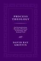 Process Theology: On Postmodernism, Morality, Pluralism, Eschatology, and Demonic Evil 1940447305 Book Cover