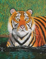 Nature: A Collection of Poems 0999085603 Book Cover