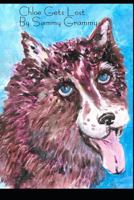 Chloe Gets Lost 1794559213 Book Cover