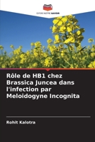 Rôle de HB1 chez Brassica Juncea dans l'infection par Meloidogyne Incognita (French Edition) 6208501377 Book Cover
