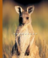 Kangaroos 1592964990 Book Cover