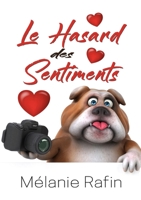 Le hasard des sentiments (French Edition) B0CFXKG9FJ Book Cover