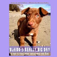 Blaidd's Really Big Day: A Fun Picture Book Adventure 1483900738 Book Cover