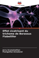 Effet cicatrisant du trichome de Borassus Flabellifer (French Edition) 620471340X Book Cover