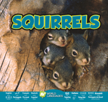 Squirrels B0GN1DRJS8 Book Cover