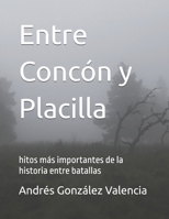 Entre Concón y Placilla: hitos más importantes de la historia entre batallas B0FTFY4PMV Book Cover