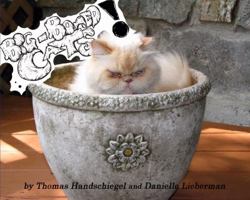 Big-Boned Cats! 098201810X Book Cover