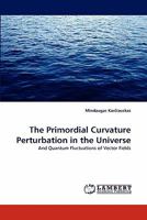 The Primordial Curvature Perturbation in the Universe: And Quantum Fluctuations of Vector Fields 3838369815 Book Cover