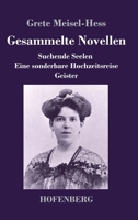 Gesammelte Novellen: Suchende Seelen / Eine sonderbare Hochzeitsreise / Geister (German Edition) 3743748894 Book Cover