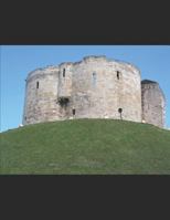 EUROPEAN GLEANINGS: Royal and Manorial families pre-1600 to 1066: Over 1200 families in England, Wales, Scotland and France 1521558345 Book Cover