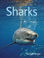 Sharks 1554079888 Book Cover