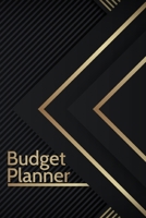 Budget planner: Monthly financial planning budget log book with income expenses tracker saving budgeting and more for personal or business accounting 1655370812 Book Cover