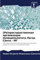 (Ре)пространственная орг 6205808498 Book Cover