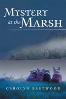 Mystery at the Marsh 1491821604 Book Cover