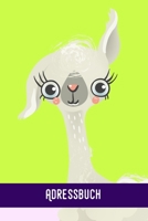 Adressbuch: Sweet Alpaca -Adressbuch / Telefonbuch I Alle Kontakte auf einem Blick I 120 Seiten alphabetisch geordnet I A5 Format - Glanz Cover 1679555316 Book Cover