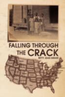 Falling Through the Crack 1436333202 Book Cover